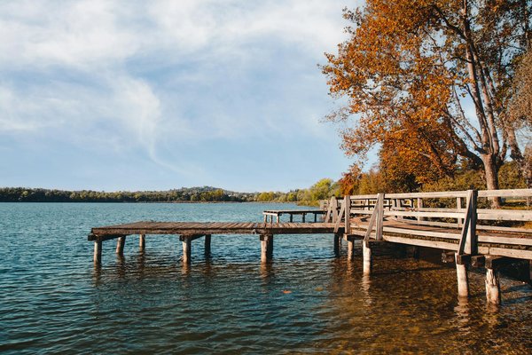 Exploitez les bienfaits étonnants des graines de chia pour renforcer vos os : une santé optimale à portée de main !