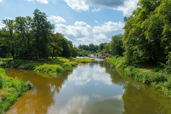 Surmonter l'obésité en france : conseils pour une vie meilleure